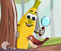 Find the Nightingale