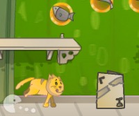 Fur and Furious